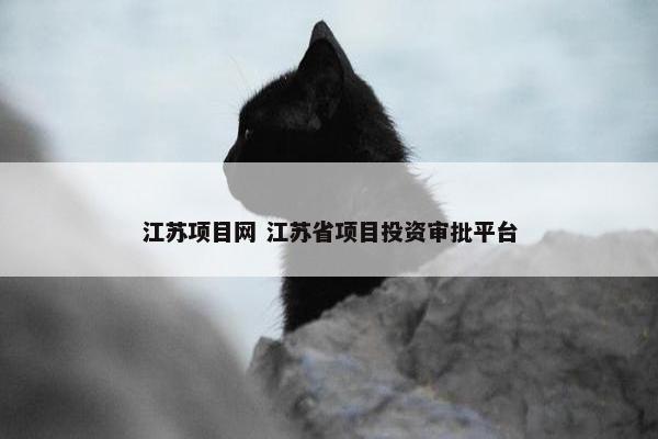 江苏项目网 江苏省项目投资审批平台