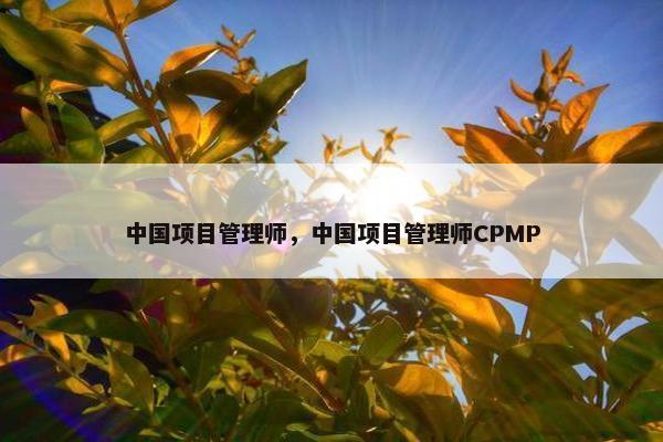 中国项目管理师，中国项目管理师CPMP
