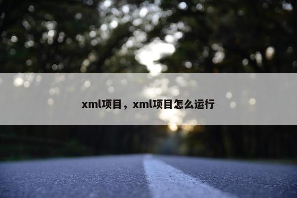 xml项目，xml项目怎么运行