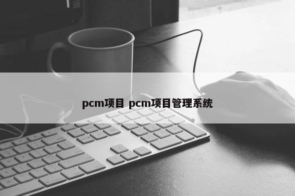 pcm项目 pcm项目管理系统