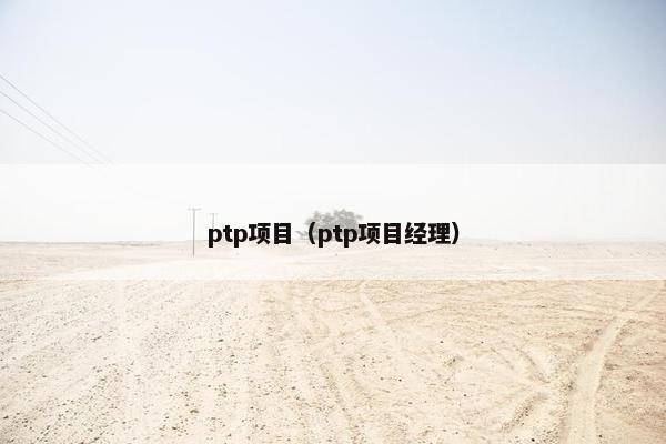ptp项目（ptp项目经理）