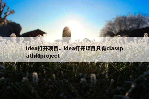 idea打开项目，idea打开项目只有classpath和project