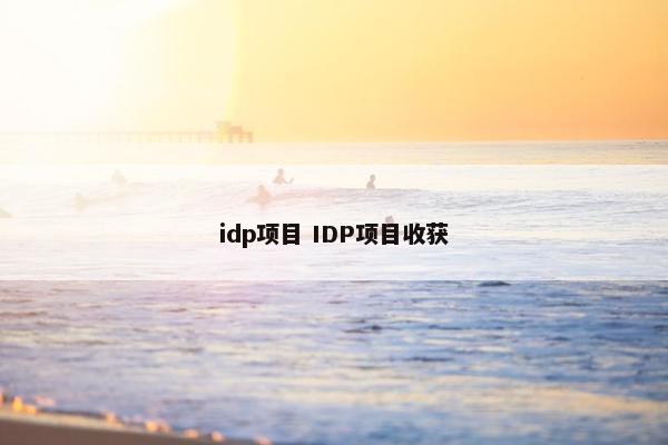 idp项目 IDP项目收获