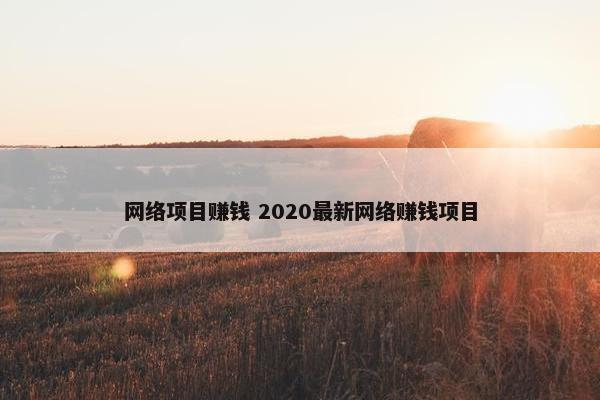 网络项目赚钱 2020最新网络赚钱项目