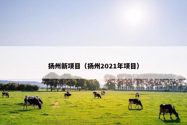 扬州新项目（扬州2021年项目）