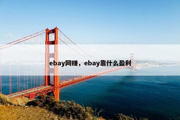 ebay网赚，ebay靠什么盈利