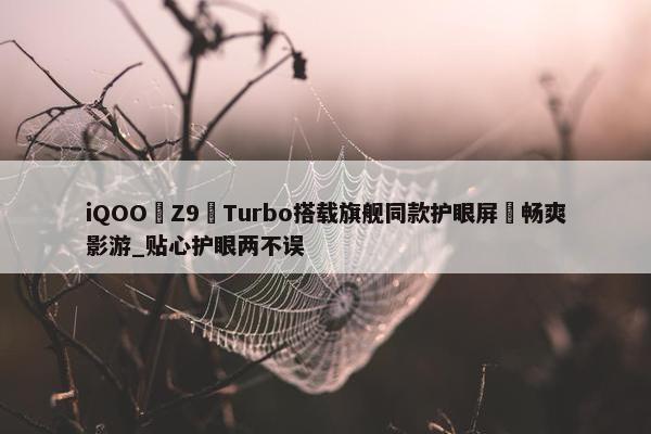 iQOO Z9 Turbo搭载旗舰同款护眼屏 畅爽影游_贴心护眼两不误