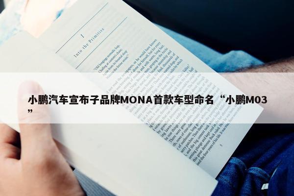 小鹏汽车宣布子品牌MONA首款车型命名“小鹏M03”