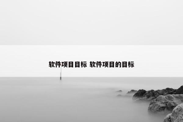 软件项目目标 软件项目的目标