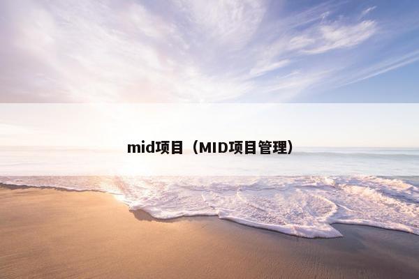 mid项目（MID项目管理）