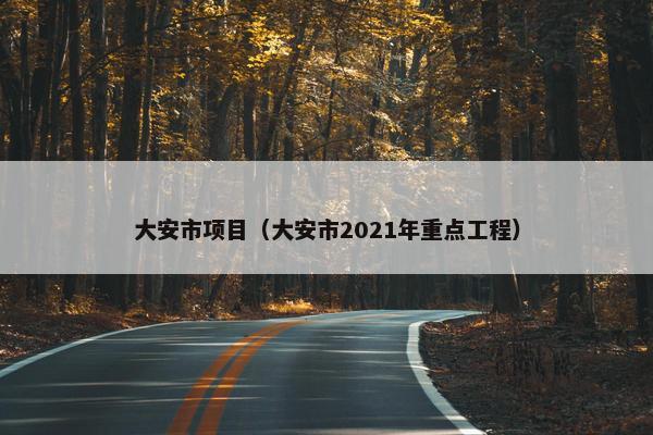 大安市项目（大安市2021年重点工程）